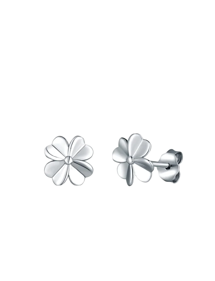 Náušnice Amuse Silver