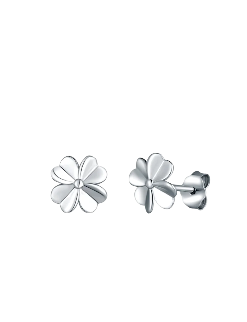 Náušnice Amuse Silver