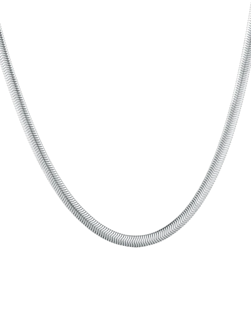Náhrdelník Evoa Silver
